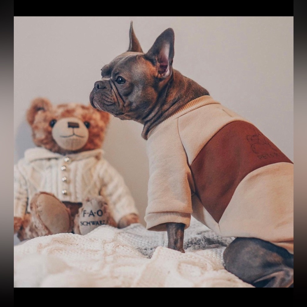 PETsRUS Dog sweater sweatshirt beige brown 100% cotton natural